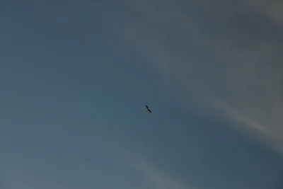 DSC_0257 (Large).JPG